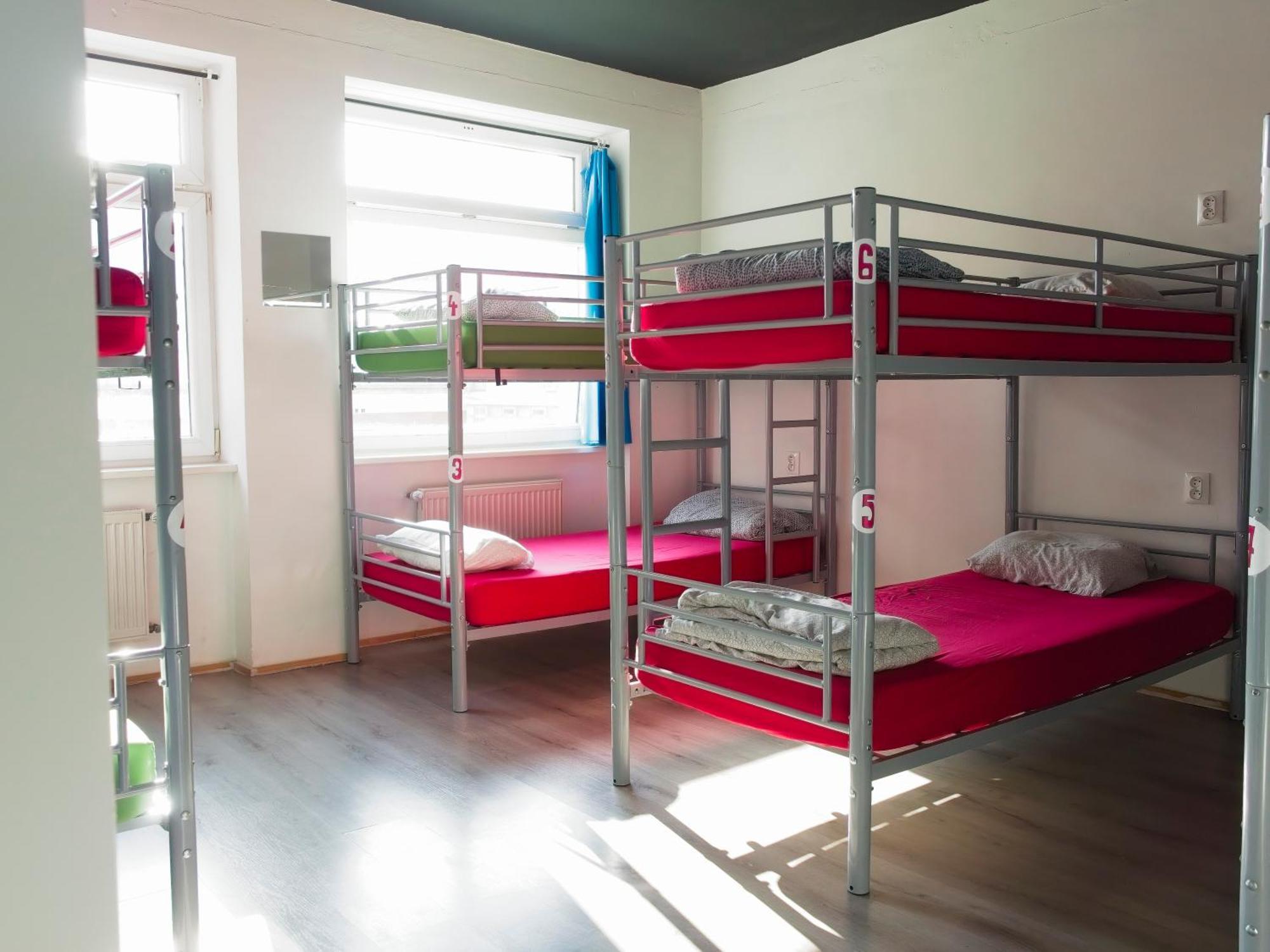Urban Elephants Hostel Bratislava Eksteriør bilde